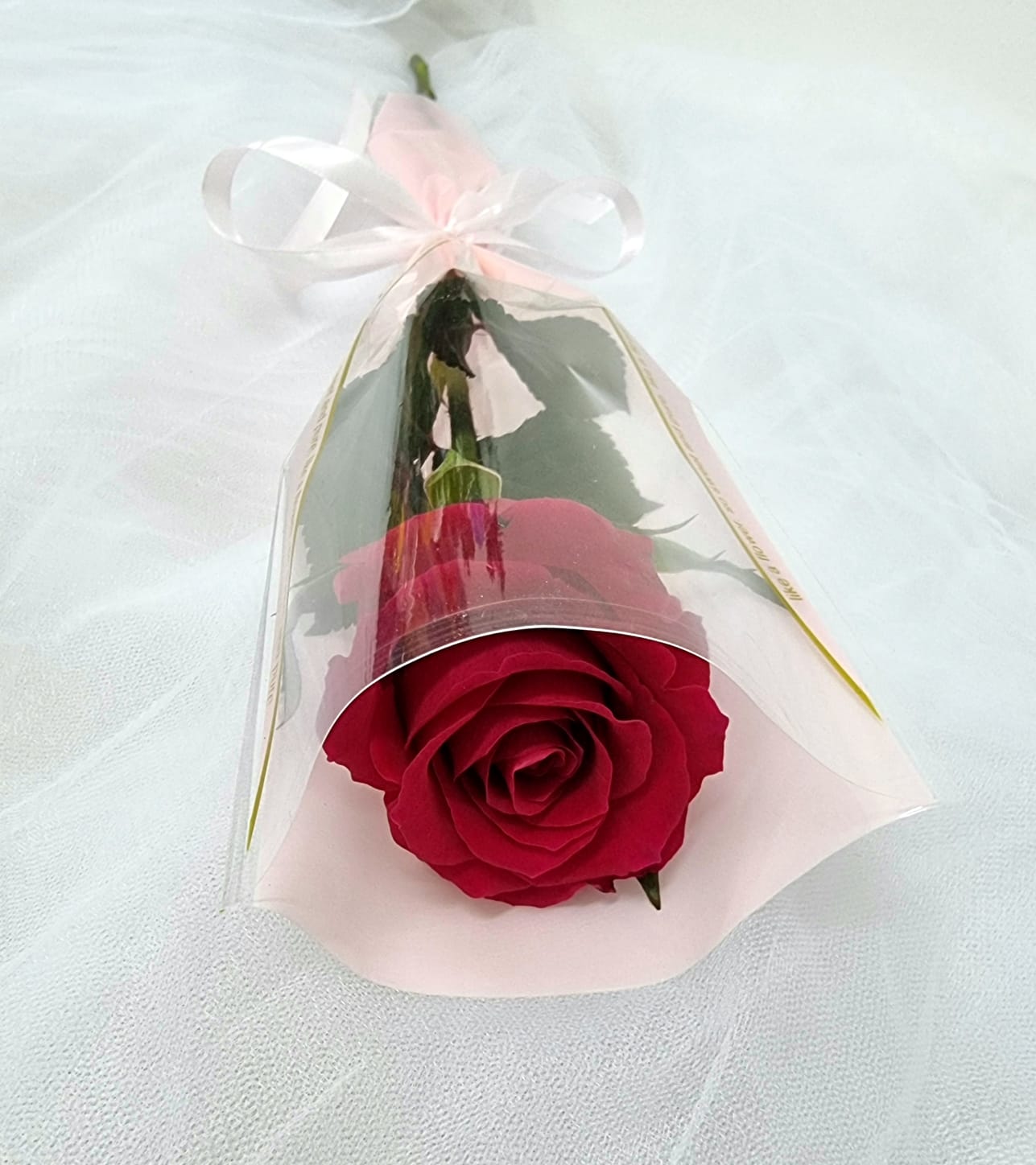BRUBAKER Rose Bear 10 Inches - Flower Gift for Girlfriend, Anniversary