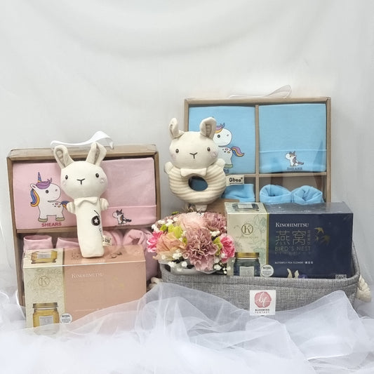 Newborn Baby Gift Hamper (BBGH 10)